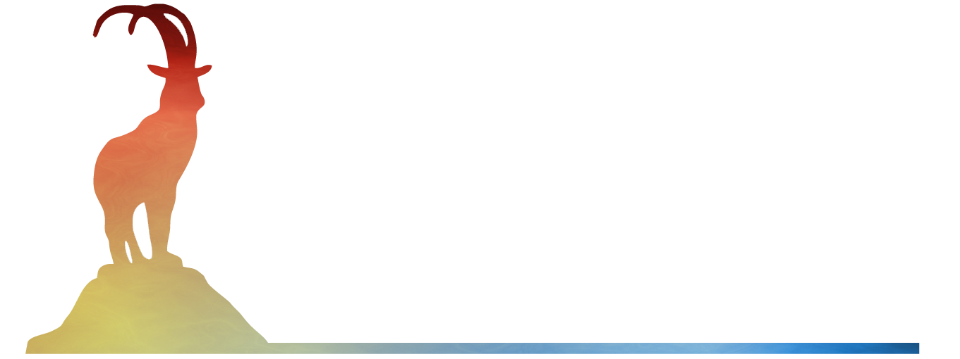 IBEX AUDIO